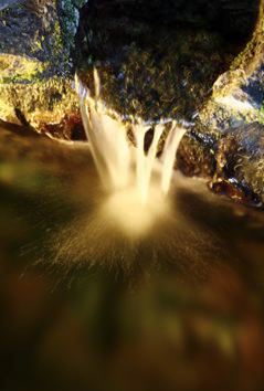 Water flowing from the grotto at the Lourdes Shrine